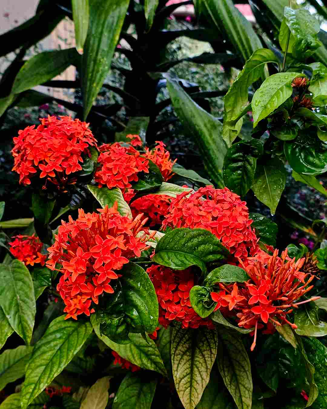 Kigongoni Gazella Hotel